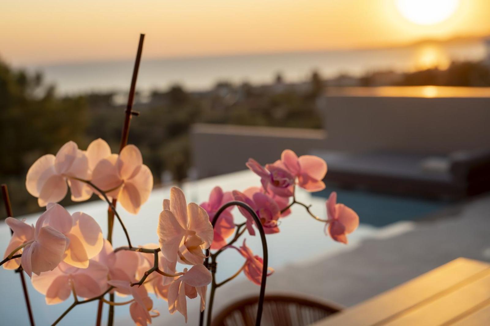 Lithos Villas - Nikiti Halkidiki Экстерьер фото